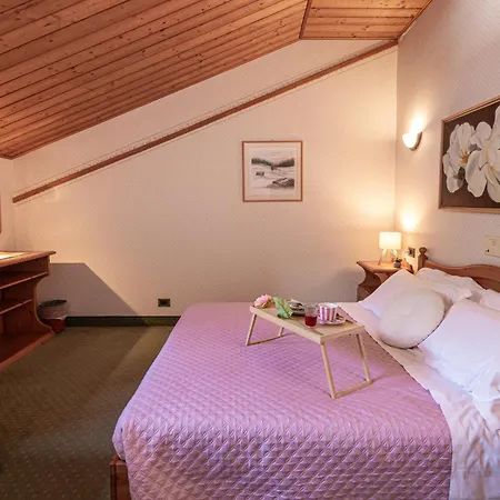 Hotel Meuble Siesle *